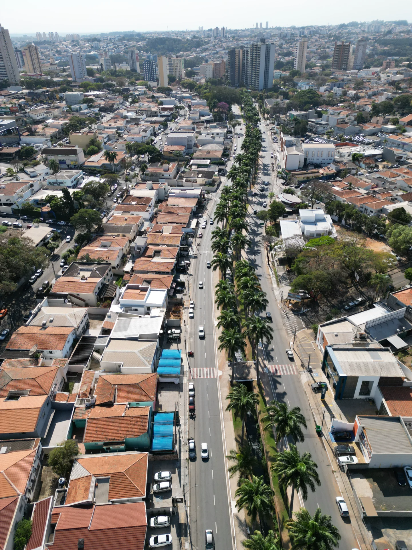Americana se destaca entre os líderes na geração de empregos em diferentes setores da economia