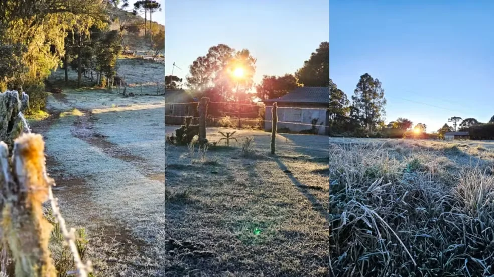 Serra de SC registra temperaturas negativas e amanhece coberta por geada após onda de frio