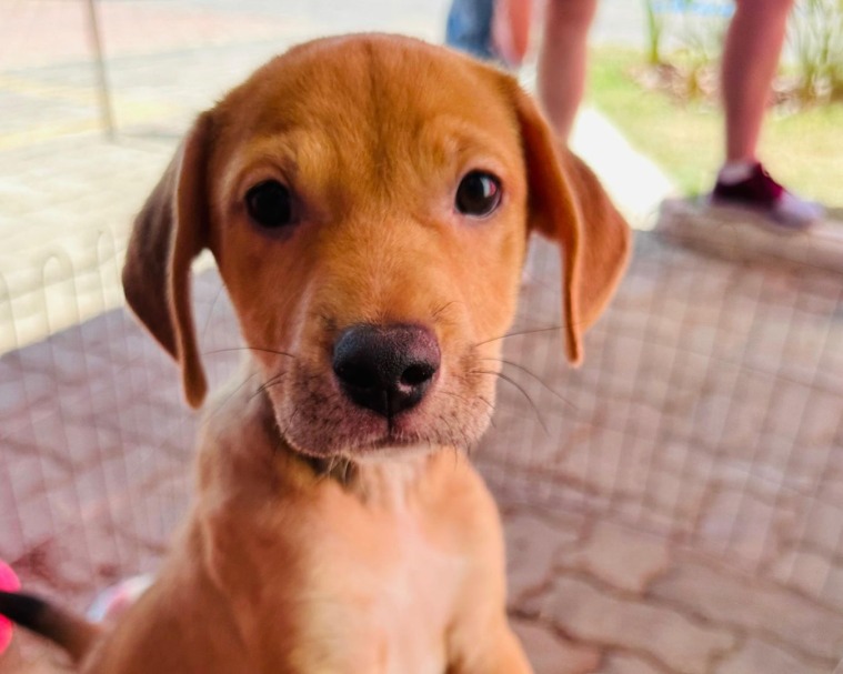 WhatsApp Image 2025-11-28 at 11.48