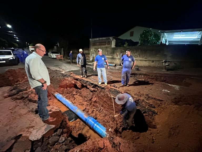 WhatsApp Image 2026-02-13 at 08.08