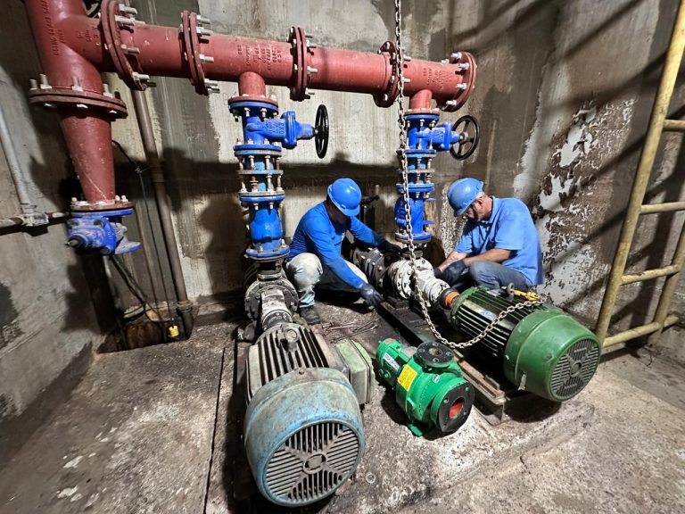 55145809316_1c4a65a367_o