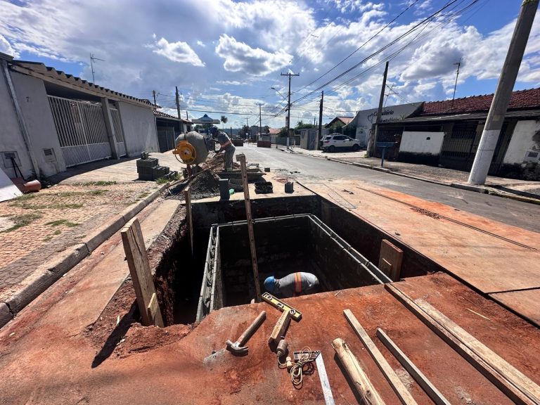 55168328703_a95efa992b_o