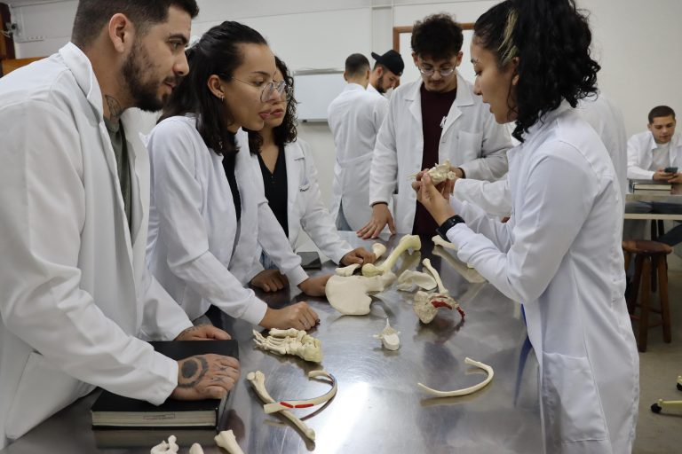 WhatsApp Image 2026-03-25 at 11.16