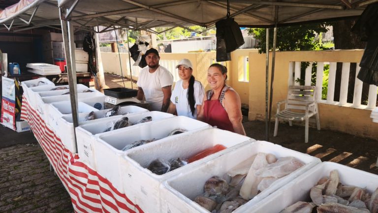 WhatsApp Image 2026-03-31 at 11.20