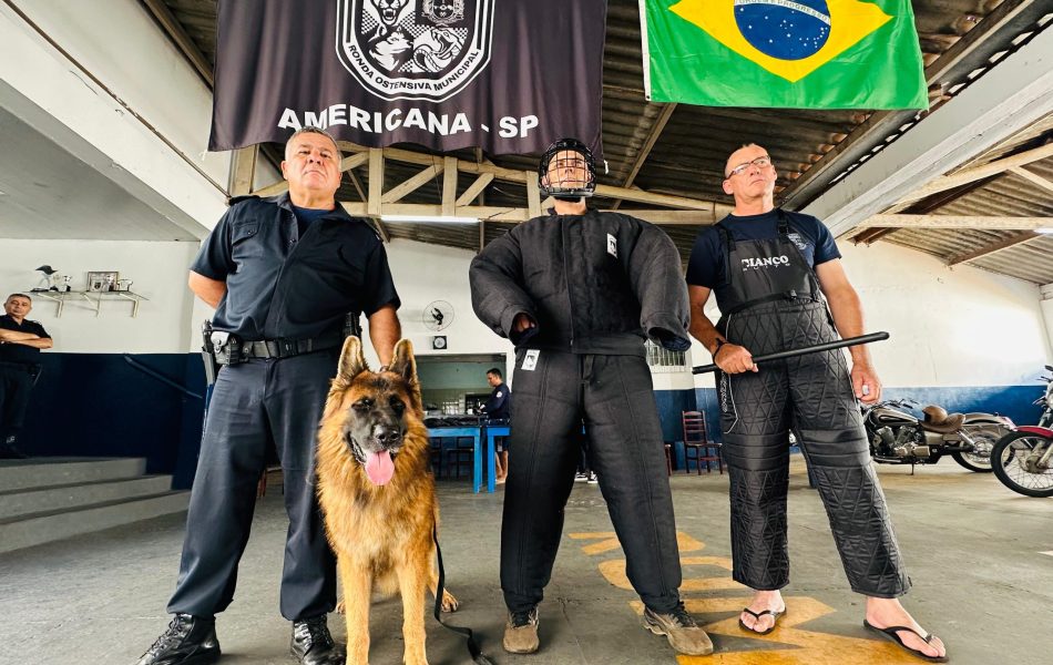 Gama - novos equipamentos