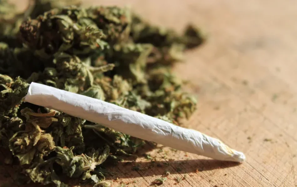 saude-maconha